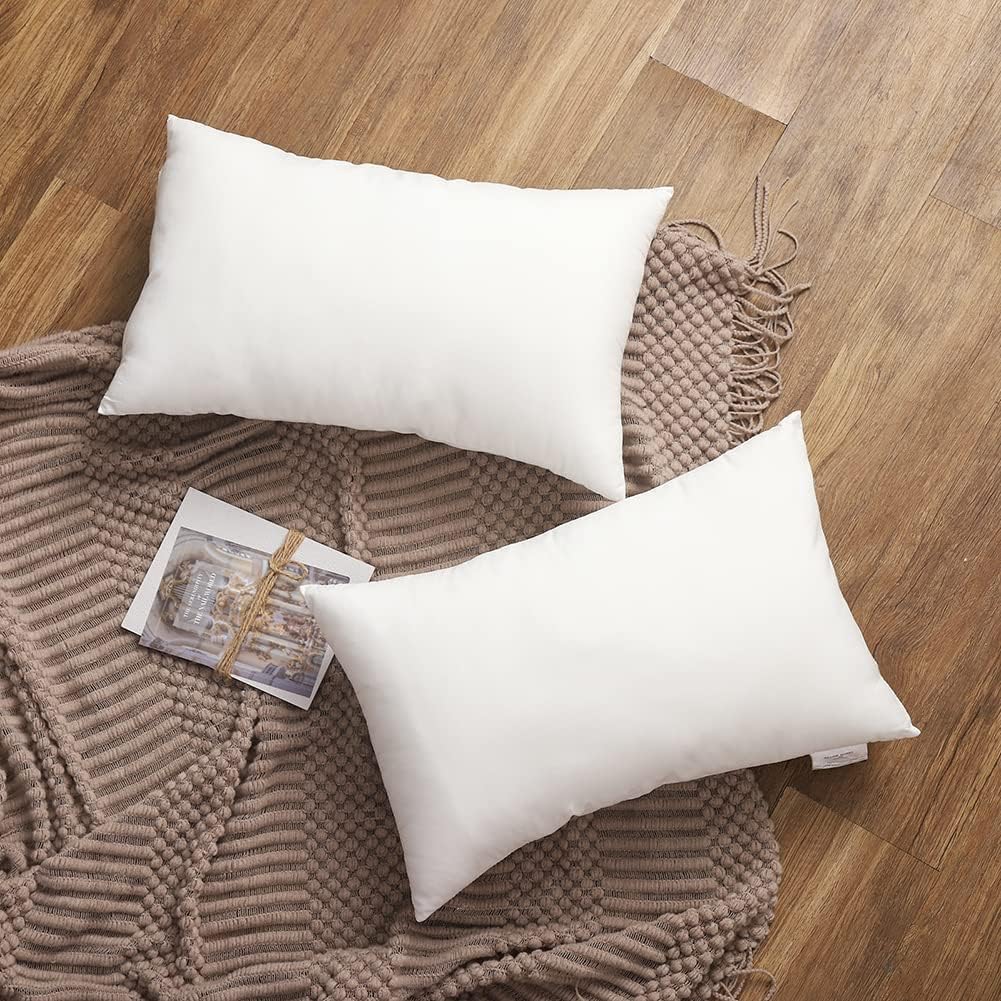 StylizShades Microfiber Pillow Filler, Set of 2