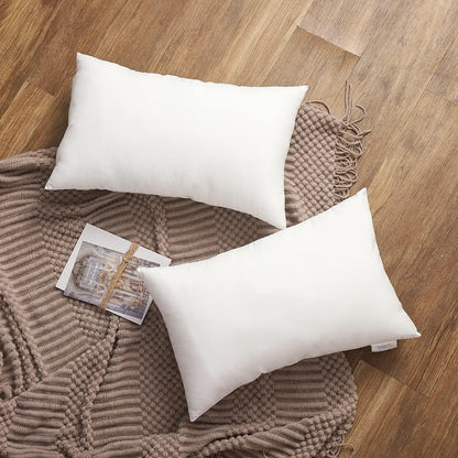 StylizShades Microfiber Pillow Filler, Set of 2